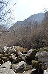 蓝田陈家沟段