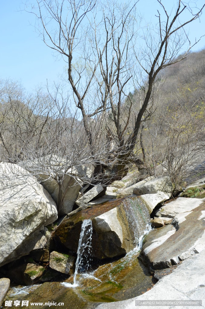 陈家沟河道