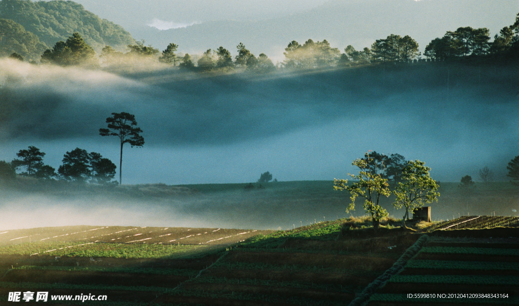 迷雾风景