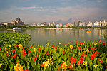莲花池公园