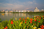 莲花池公园