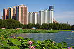 莲花池公园