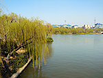 湖边景色