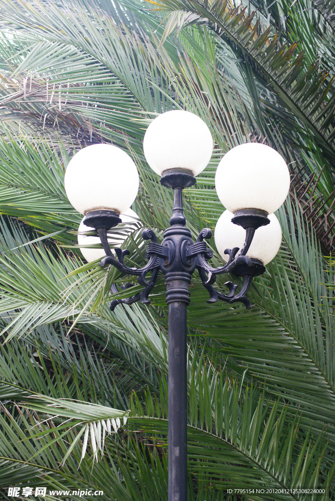 公园
