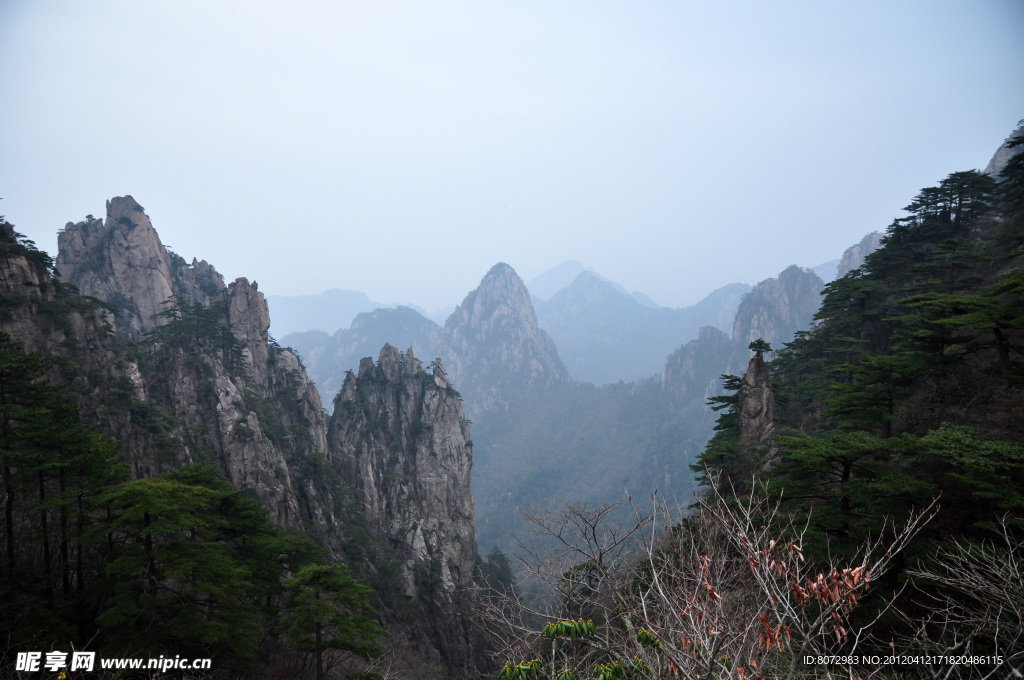 黄山散花坞