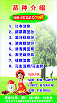豆浆品种介绍