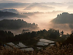 早晨的乡村