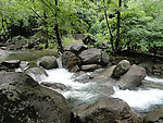 千岛湖白云源