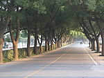 无锡鼋头渚分景区