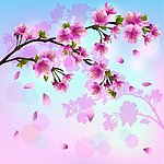 春天的樱花矢量