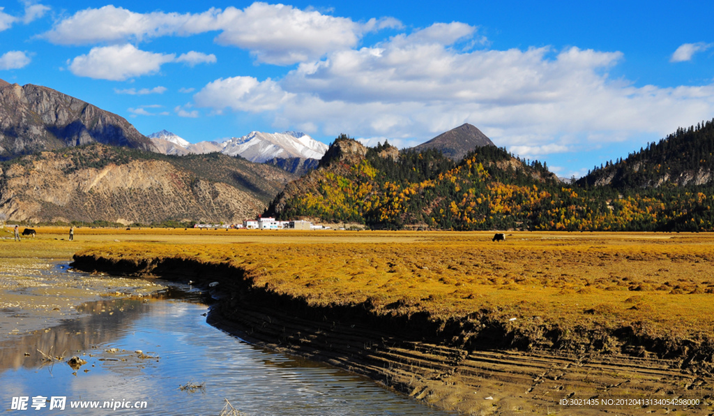 高原（非高清）