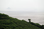 青山