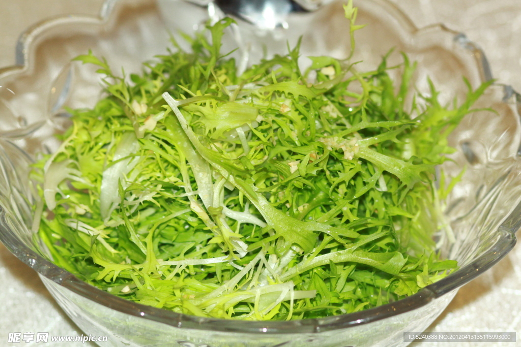 凉拌苦菊