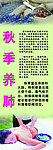 美容养颜展架