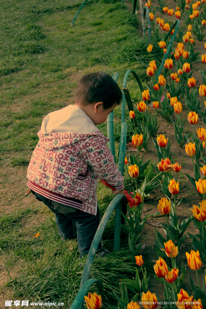 儿童采花