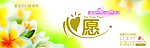 心愿卫生纸包装设计