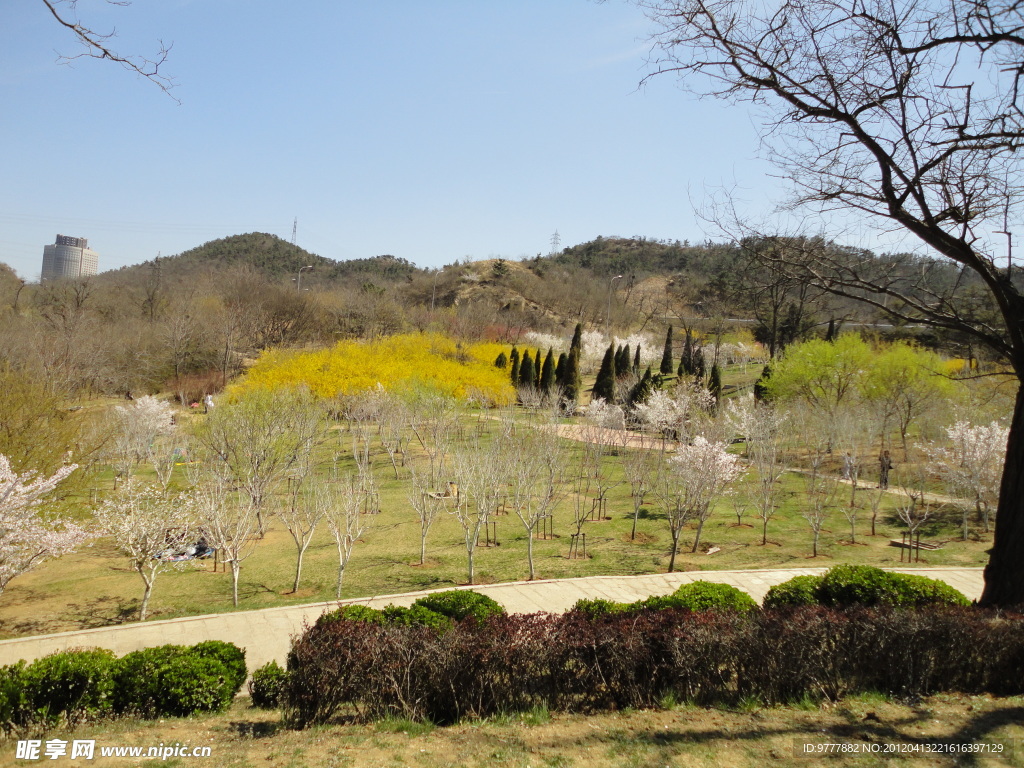 风景如画