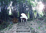 竹林深处