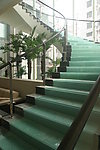 酒店大堂楼梯