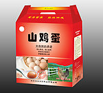山鸡蛋包装（展开图）