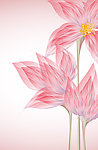 梦幻花纹花朵 鲜花花卡