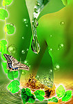 水珠