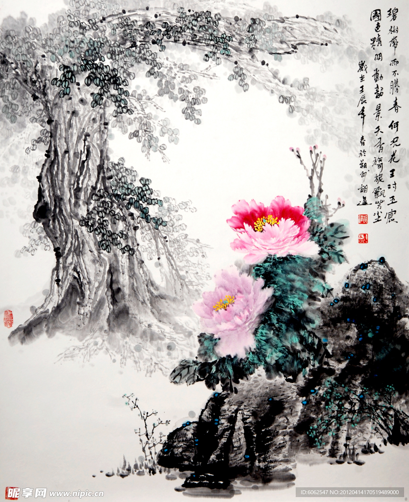 牡丹