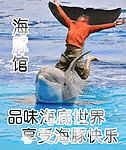 海豚馆