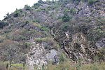 风景