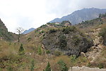 草原