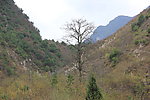 山地