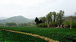 田野的小路