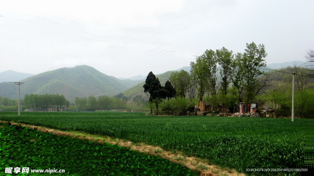 田野的小路