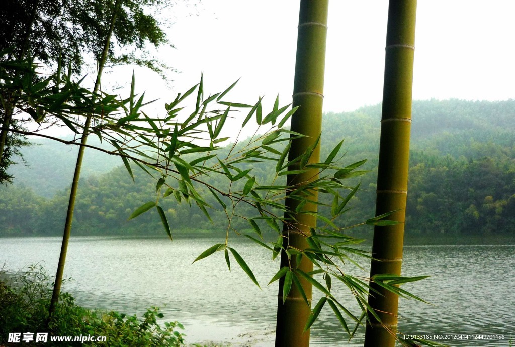 青山绿水