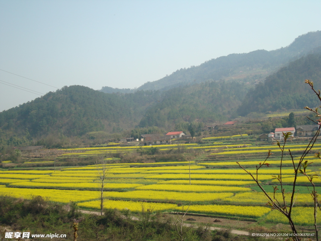 自然风景