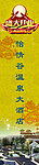 酒店开业盛典 龙纹图案