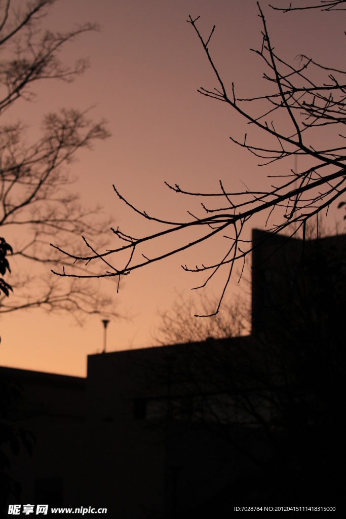 西南林业大学 黄昏