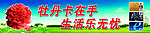 工行牡丹卡
