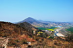 山野的菜花