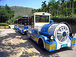 旅游小火车