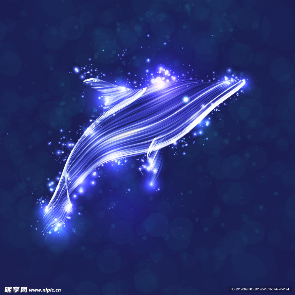 海豚