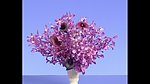艳丽花卉