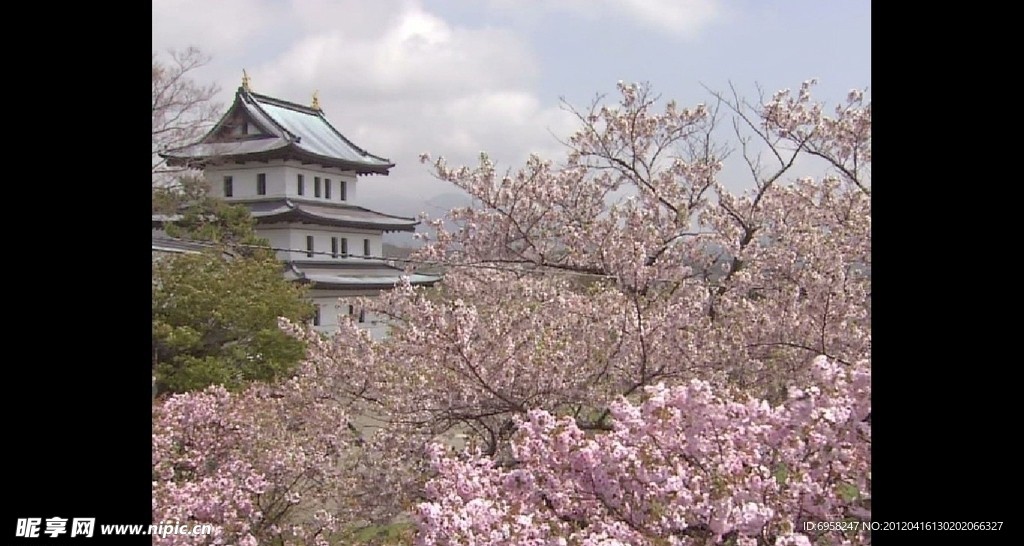 樱花丛中的寺院