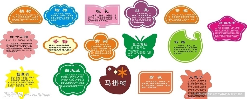 树名牌
