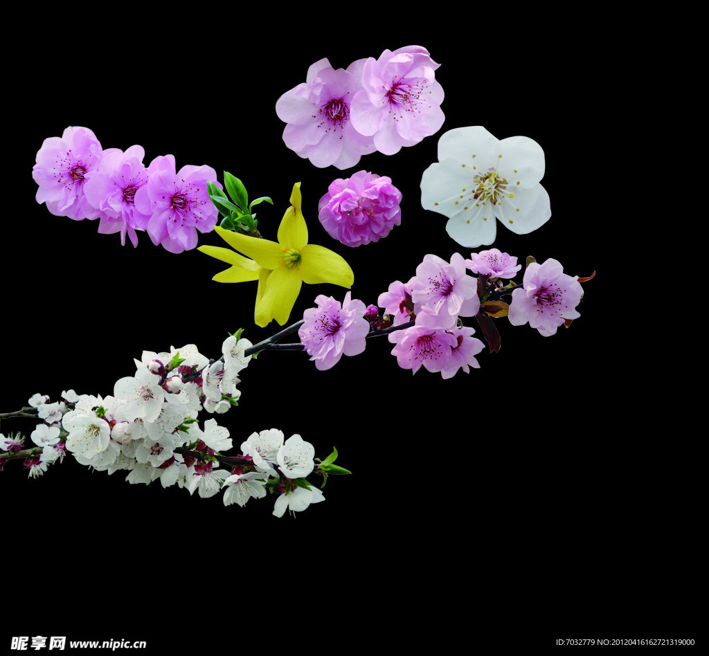 花枝 桃花