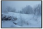 中国雪乡