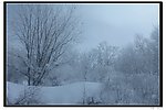 中国雪乡