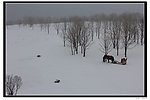 中国雪乡