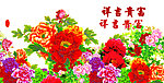 牡丹花