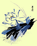 墨荷